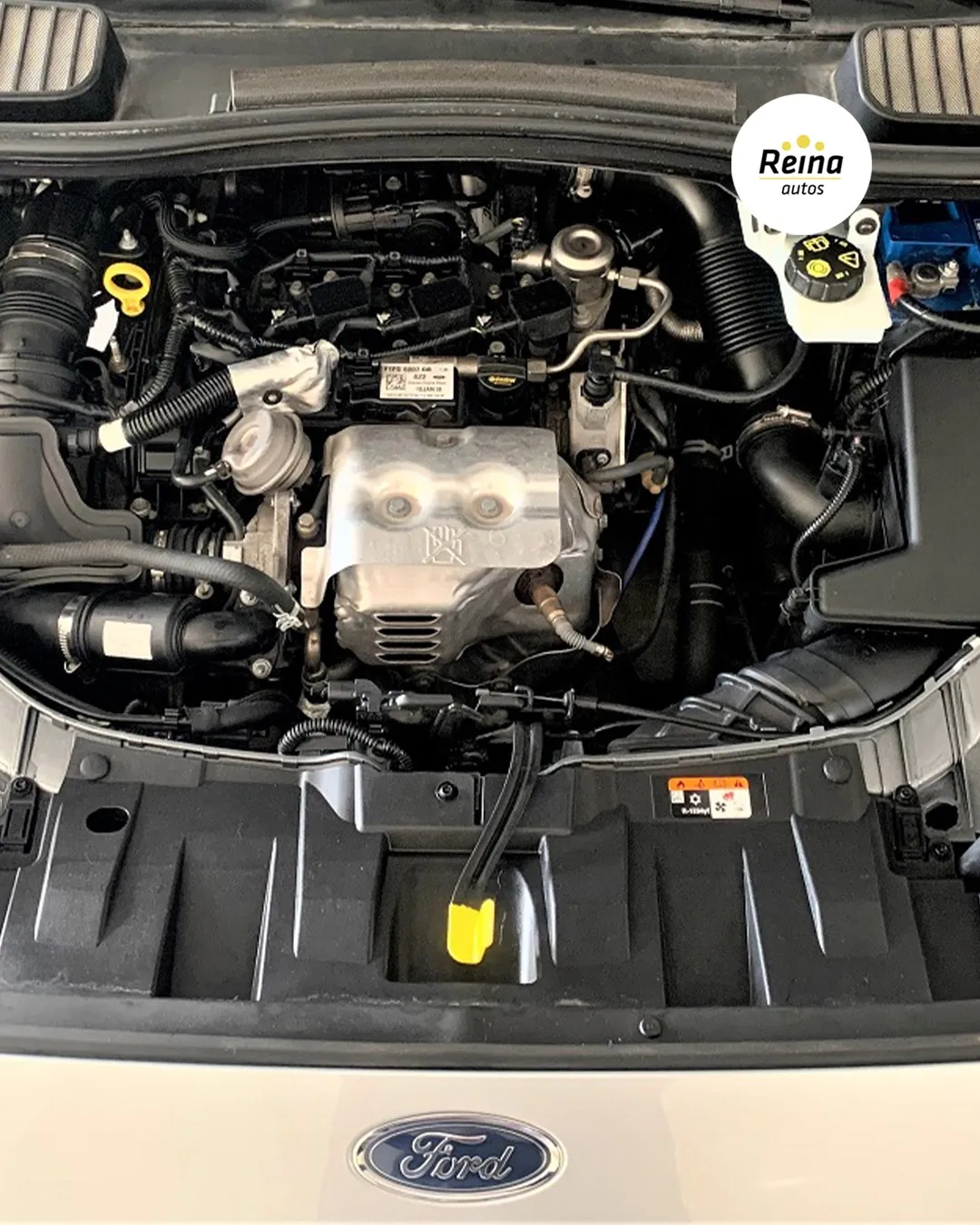Vano motor del Ford C-MAX de ocasión, con el motor de 125 CV